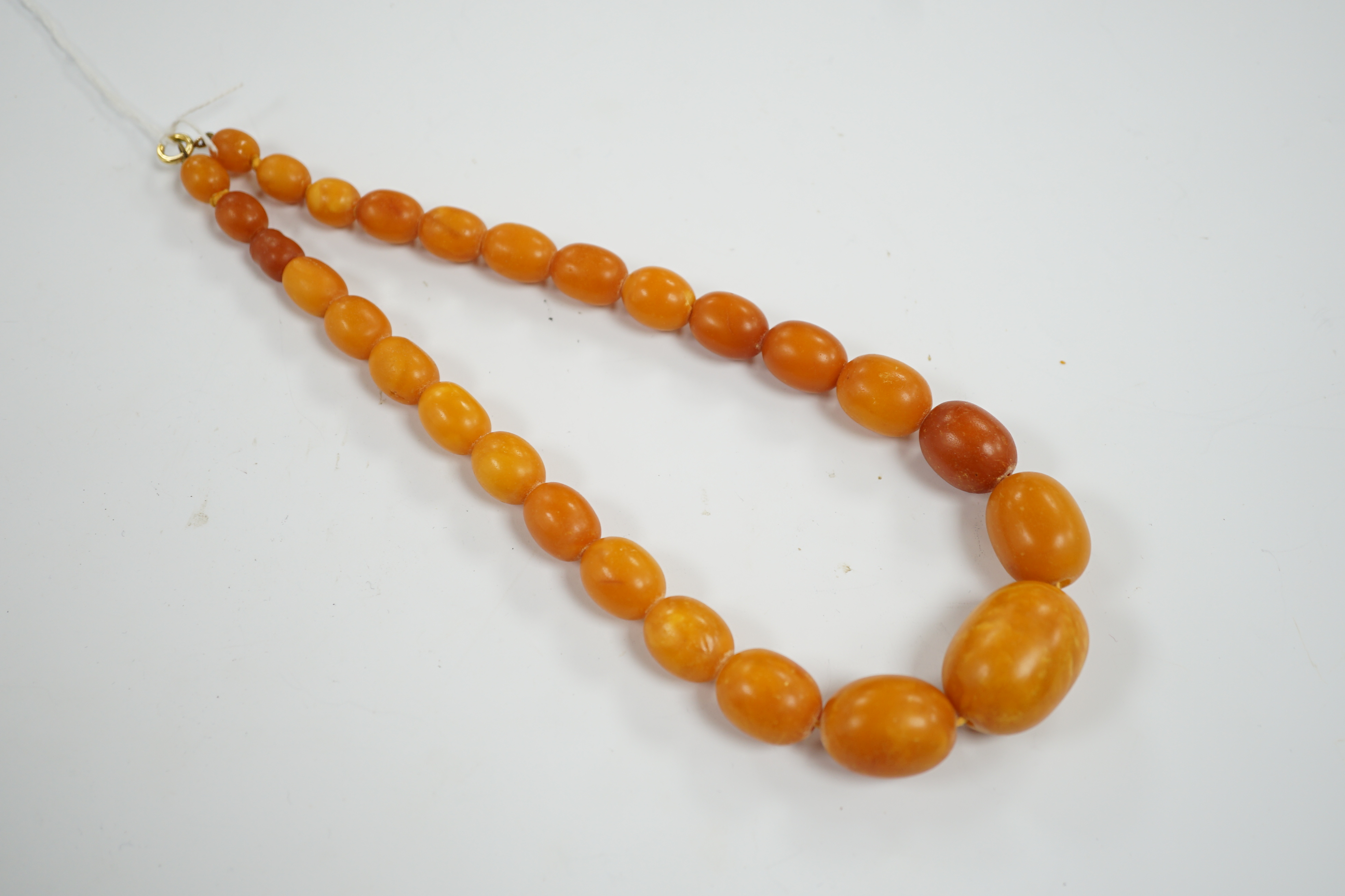 A single strand graduated oval amber bead necklace, 40cm, gross weight 44 grams.
